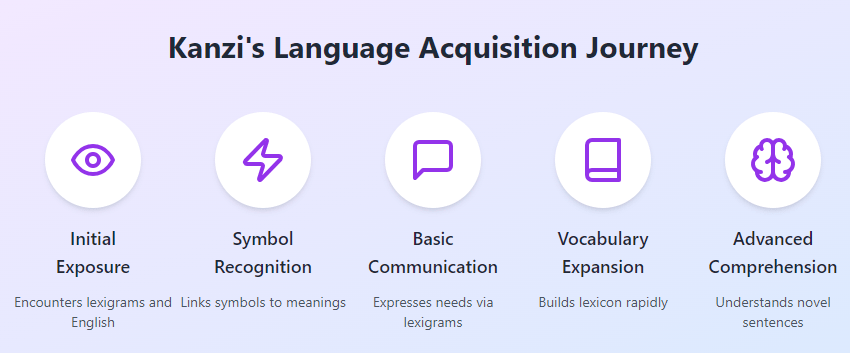 Visualization of Kanzi's language acquisition process